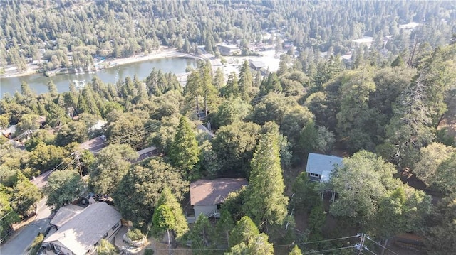 370 Weisshorn Dr, Crestline, CA 92325 - photo 37