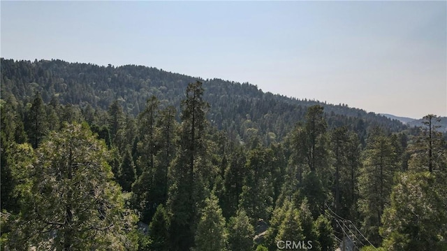 24941 Faulhorn Dr, Crestline, CA 92325 - photo 41