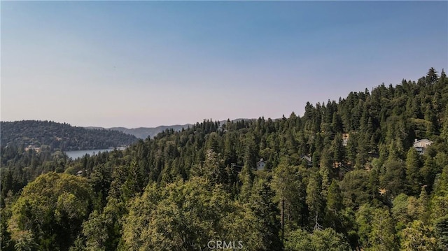 24941 Faulhorn Dr, Crestline, CA 92325 - photo 39