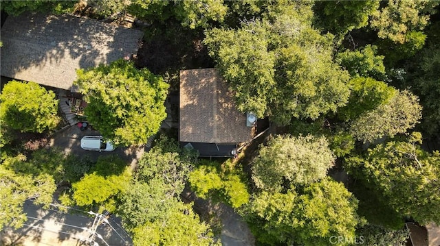 24941 Faulhorn Dr, Crestline, CA 92325 - photo 35