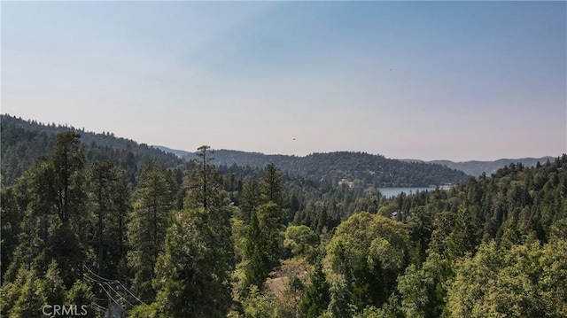 24941 Faulhorn Dr, Crestline, CA 92325 - photo 40