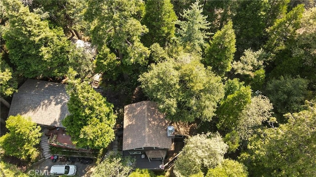 24941 Faulhorn Dr, Crestline, CA 92325 - photo 36
