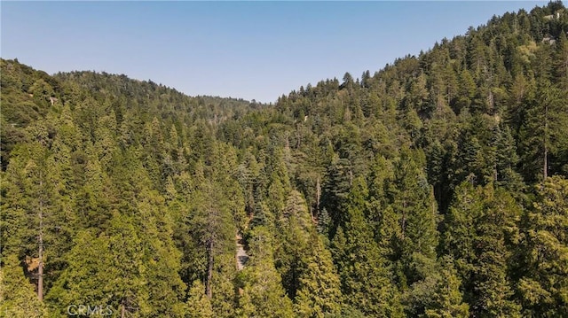 24941 Faulhorn Dr, Crestline, CA 92325 - photo 44
