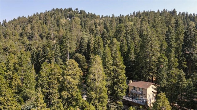 24941 Faulhorn Dr, Crestline, CA 92325 - photo 43