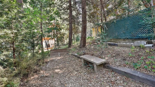 24941 Faulhorn Dr, Crestline, CA 92325 - photo 31