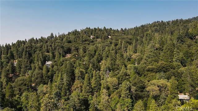 24941 Faulhorn Dr, Crestline, CA 92325 - photo 38