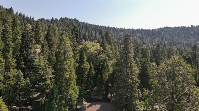 24941 Faulhorn Dr, Crestline, CA 92325 - photo 42