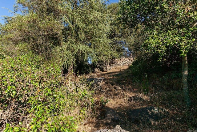 720 Sky Mountain Ln, Alpine, CA 91901 - photo 47