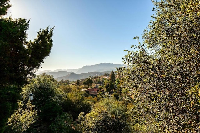 720 Sky Mountain Ln, Alpine, CA 91901 - photo 57