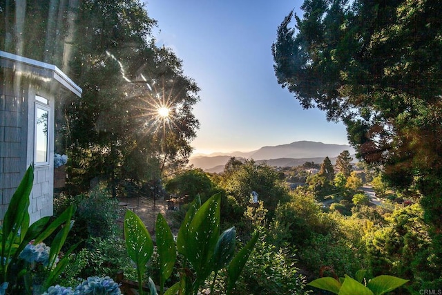 720 Sky Mountain Ln, Alpine, CA 91901 - photo 44