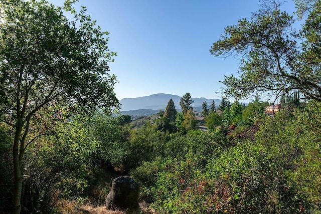 720 Sky Mountain Ln, Alpine, CA 91901 - photo 58