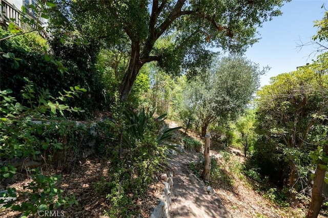 15113 Encanto Dr, Sherman Oaks, CA 91403 - photo 39