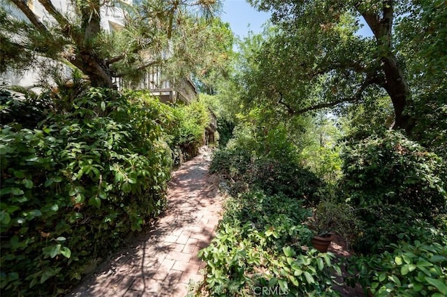 15113 Encanto Dr, Sherman Oaks, CA 91403 - photo 38