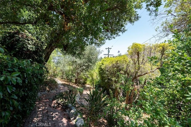 15113 Encanto Dr, Sherman Oaks, CA 91403 - photo 37