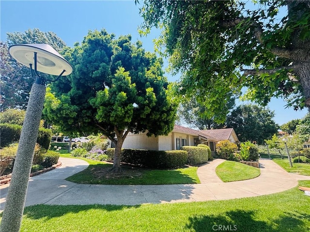 3114 Via Serena S Unit C, Laguna Woods, CA 92637 - photo 3