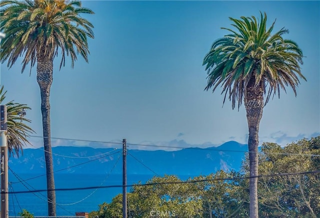 976 W 37th St, San Pedro, CA 90731 - photo 53