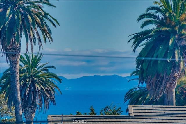 976 W 37th St, San Pedro, CA 90731 - photo 55