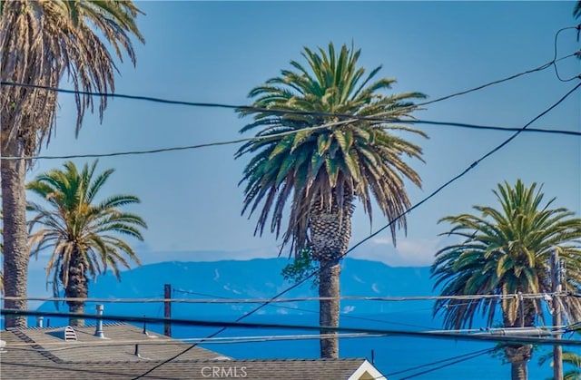 976 W 37th St, San Pedro, CA 90731 - photo 54
