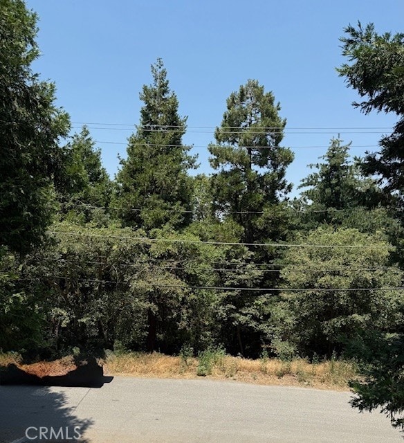 22781 Ponderosa Dr, Crestline, CA 92325 - photo 14