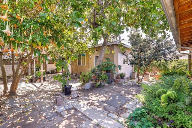 5008 S Van Ness Ave, Los Angeles, CA 90062 - photo 31