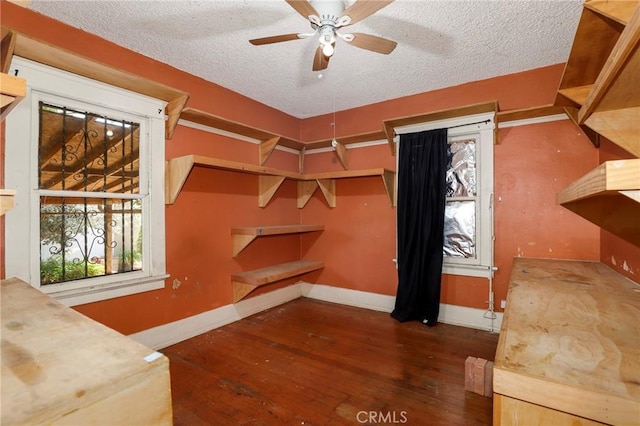 5008 S Van Ness Ave, Los Angeles, CA 90062 - photo 18