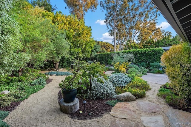 1277 Santa Luisa Dr, Solana Beach, CA 92075 - photo 35
