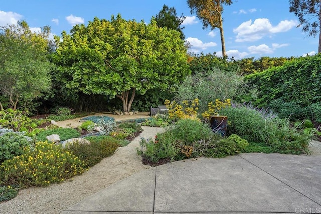 1277 Santa Luisa Dr, Solana Beach, CA 92075 - photo 37