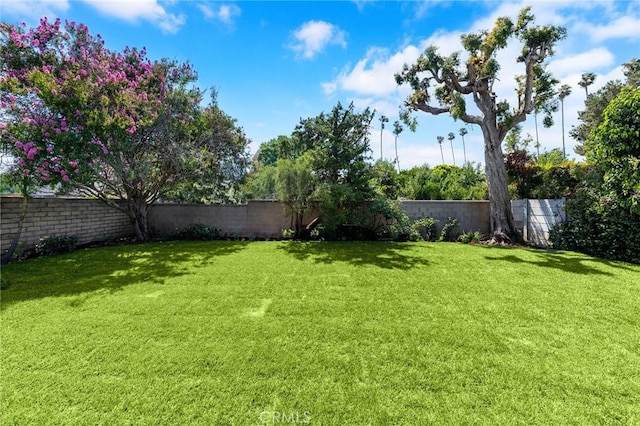 6275 Bion Ave, San Gabriel, CA 91775 - photo 45