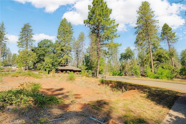 6009 Pentz Rd, Paradise, CA 95969 - photo 13