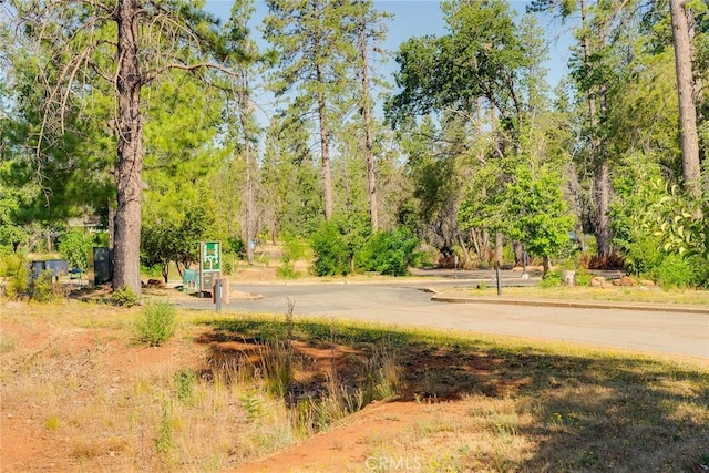 6009 Pentz Rd, Paradise, CA 95969 - photo 17