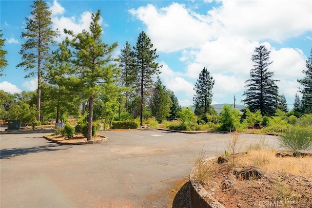 6009 Pentz Rd, Paradise, CA 95969 - photo 11