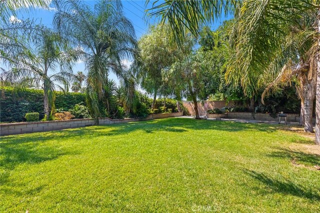 7020 Argyle Ave, San Bernardino, CA 92404 - photo 19