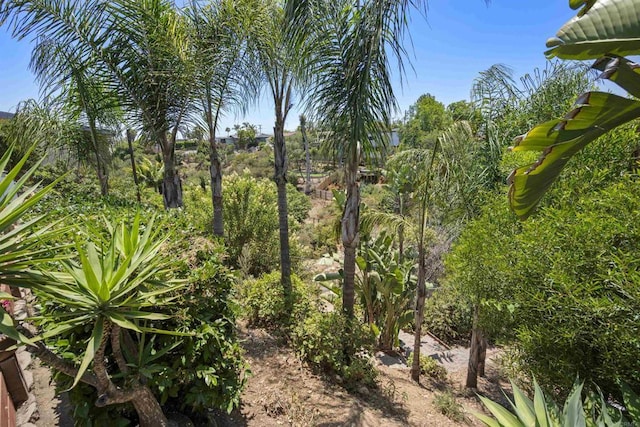 3030 Nile St, San Diego, CA 92104 - photo 55
