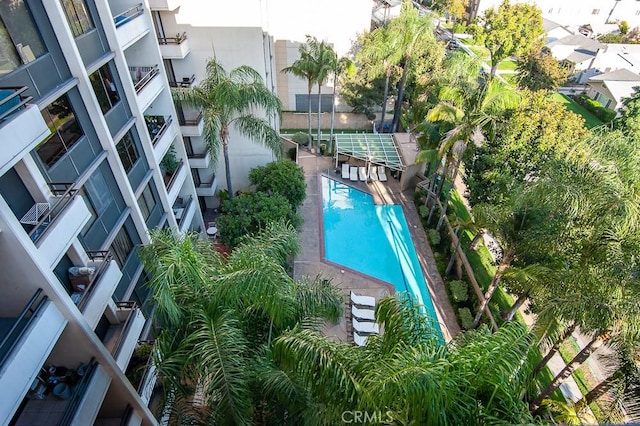 345 Pioneer Dr Unit 1201, Glendale, CA 91203 - photo 56