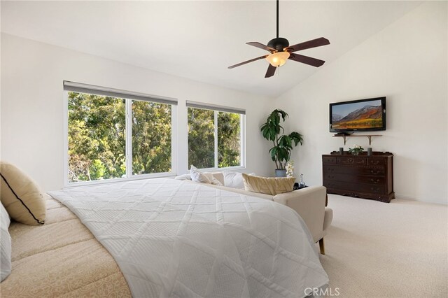 915 S Kings Canyon Rd, Brea, CA 92821 - photo 31