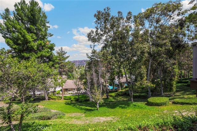 915 S Kings Canyon Rd, Brea, CA 92821 - photo 46