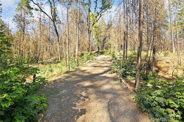9640 Cohasset Rd, Cohasset, CA 95973 - photo 9
