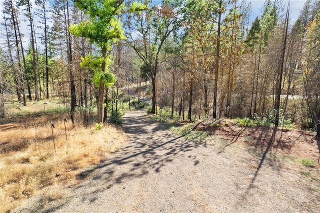9640 Cohasset Rd, Cohasset, CA 95973 - photo 19