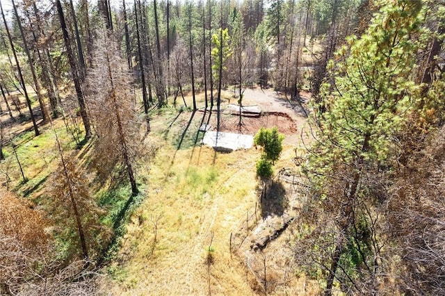 9640 Cohasset Rd, Cohasset, CA 95973 - photo 15