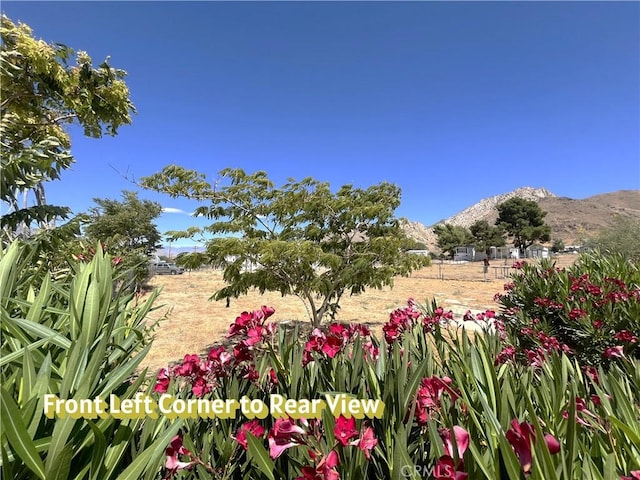 8313 Wildmint Dr, Lake Isabella, CA 93240 - photo 2