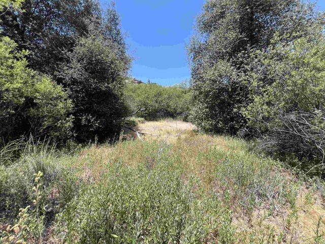 Riverside Dr, Descanso, CA 91916 - photo 16