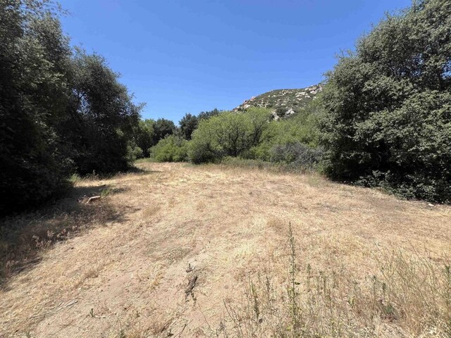 Riverside Dr, Descanso, CA 91916 - photo 8