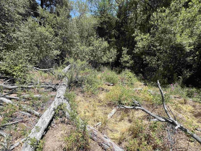 Riverside Dr, Descanso, CA 91916 - photo 11