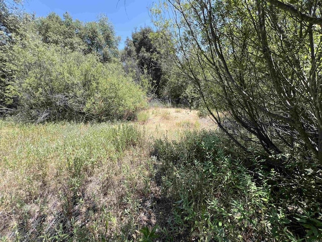 Riverside Dr, Descanso, CA 91916 - photo 17