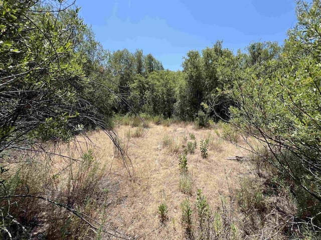 Riverside Dr, Descanso, CA 91916 - photo 15