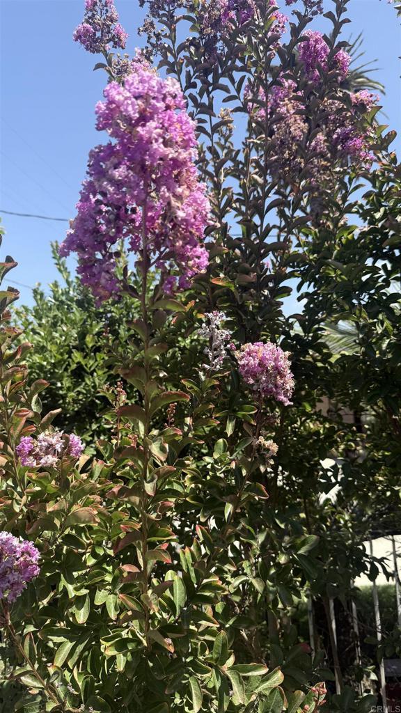 111 Fireside St, Oceanside, CA 92058 - photo 26