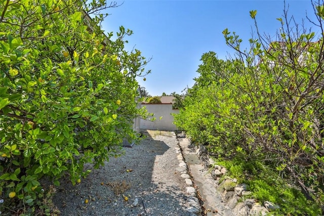 859 Cypress Dr, Upland, CA 91784 - photo 65