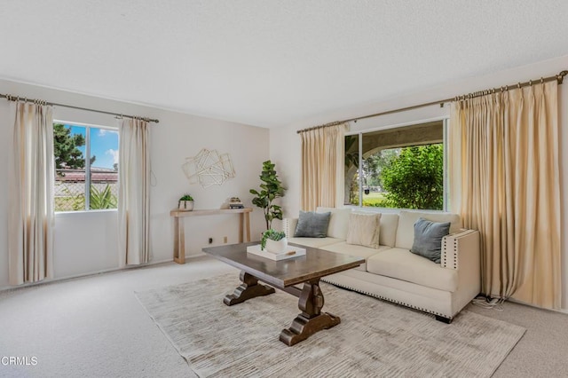1014 N Modesto Ave, Camarillo, CA 93010 - photo 5