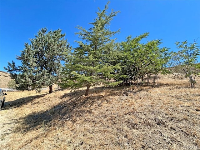 9645 Elizabeth Lake Rd, Leona Valley, CA 93551 - photo 36