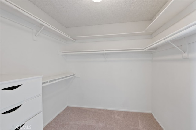 13243 Aclare St, Cerritos, CA 90703 - photo 50